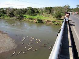 Crocodile bridge is the name of both a camp along the southern border of kruger national park and a gate to the park. Costa Rica S Croc Bridge Does Not Disappoint Video Q Costa Rica
