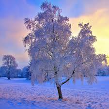 Ipad Winter Wallpapers Wallpaper Cave We hope you enjoy our growing collection of hd images to use as a background or home screen for your smartphone please contact us if you want to publish an aesthetic ipad wallpaper on our site. ipad winter wallpapers wallpaper cave
