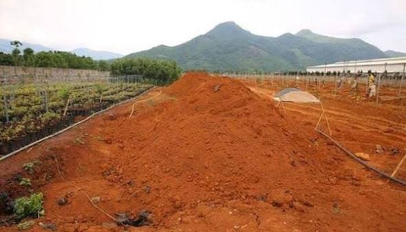 Đất trồng sầu riêng