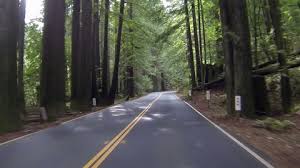 It looks like that trip could take about 12.5 hours. Vacation Drive Through California Redwood Stock Footage Video 100 Royalty Free 3852131 Shutterstock