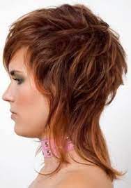 Fall Shag Hairstyles This Needs To Be More Blended So It Doesn T Look Like Mullet Haircuts For Medium Hair Hair Styles Short Shag Haircuts
