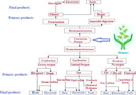 Biomass And Bioenergy An Overview Of The Development Potential In Turkey And Malaysia Sciencedirect
