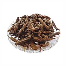 Image result for Helicteres