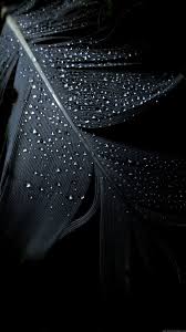 Tons of awesome black wallpapers 1920x1080 to download for free. Black Phone Hd Wallpapers Wallpaper Cave