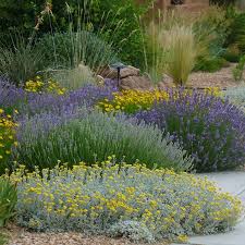 My Favorite Plant Combinations High Country Gardens Garden Plants Design Landscaping Inspiration High Country Gardens