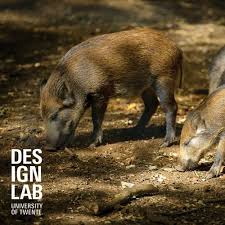 Wij willen graag weten in welke omgeving u woont, zodat we u meer nieuws uit uw eigen regio kunnen aanbieden. Stream Episode Project Manager Maya Van Den Berg Tracking Wild Boars Rtv Oost 21 10 2020 By Designlab Utwente Podcast Listen Online For Free On Soundcloud
