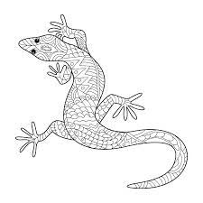 Gecko coloring page coloring home via coloringhome.com. Cartoon Gecko Coloring Page