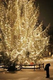 Twinkle Christmas Magic Christmas Lights Christmas