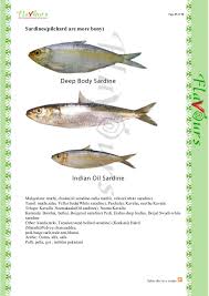 Confused Over Fish Names Be the first to rate & review! confused over fish names