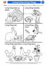 living and nonliving things 1st grade science worksheets and answer keys study guides and vocabulary sets