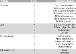 660 likes · 1 talking about this. Cartilage Evaluation According To The Mankin System Download Table