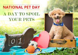 How to celebrate national pet day 2020? National Pet Day A Day To Spoil Your Pets Bestvetcare