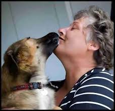 Street dog howled warning before quake killed thousands in Turkey & Syria