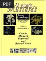 Image result for Persicaria hystricula