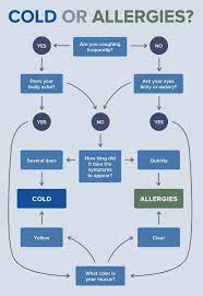 Are You Suffering From A Cold Or Allergies Find Out How Opc3 Can Help With Allergies And Give You Cold Or Allergies Health And Beauty Tips Health And Beauty
