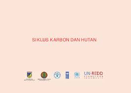 Selain air hujan yang membawa sejumlah nitrogen, penambahan nitrogen ke dalam tanah terjadi melalui proses fiksasi nitrogen. Pdf Siklus Karbon Dan Hutan Nur Asita Academia Edu