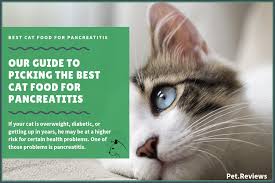 Pancreatitis, whether chronic or acute, usually requires a lowering of dietary fat levels. 11 Best Cat Foods Wet Canned For Pancreatitis In 2021