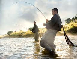 Funny adaptations of the proverb. If You Teach A Man To Fish The New Yorker