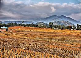 Gorubathan Tar In West Bengal India Places To Visit Travel Travel Guides