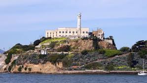 We did not find results for: Escape From Alcatraz Letter Claiming Inmates Survived Inconclusive