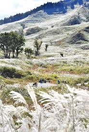 ノルウェイ の 森 ロケ 地