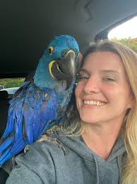 RIPR Annual Report 2021