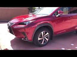 Image result for Matador Red 2018 NX