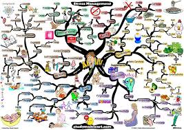 Stress Management Techniques Known To Be Effective Level C Teacher Olay Stress Management Techniques Stress Management Stress Management Strategies