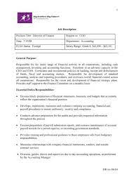 Director of finance job description template: Hr Rev 06 04 1 Job Description Position Title Director Of Finance