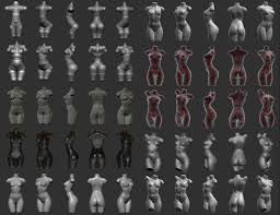 Zbrush Torso Study By Sze Jones Figurative 3d Zbrush Zbrush Anatomy Zbrush Tutorial