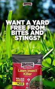 Spray effective solutions in some. 41 Garden Pest Control Ideas In 2021 Garden Pest Control Pest Control Garden Pests