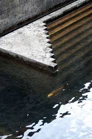 Pool Carlo Scarpa Water Architecture Carlo Scarpa Brutalist Architecture