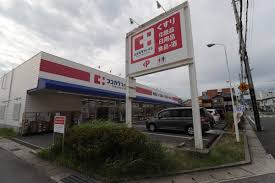ココカラ ファイン 段 上 店