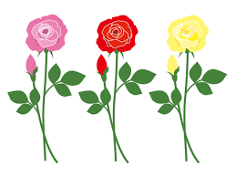 The Ultimate Rose Color Meanings Guide - Snapblooms Blogs