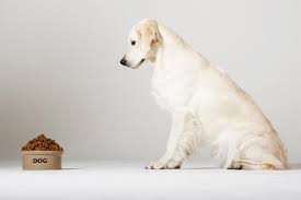 To choose the best dog food for diabetic dogs, start with your dog's basic nutritional needs. Diabetic Dog Food Benefits And Guidelines Lovetoknow