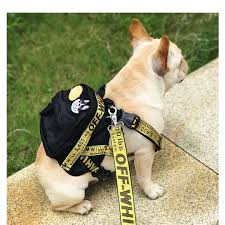 Woof White Everything Off Woof Harness Backpack Kopek Aksesuarlari Kopek Malzemeleri Kopek Yataklari
