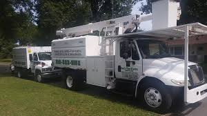 Check spelling or type a new query. Noel S Tree Service Posts Facebook