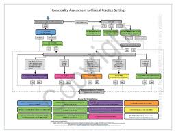 Homicidality Clinical Practice Scale Flow Chart 1 8 18