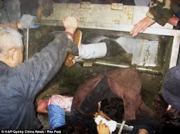 Sounds terrible, but it a happened in a fraction of a second so hopefully they didn't feel a thing. Diving Into The Wreck Thesis Analysis Of Diving Into The Wreck Essay