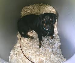 Installing these houses is quick and easy. Underground Dog House