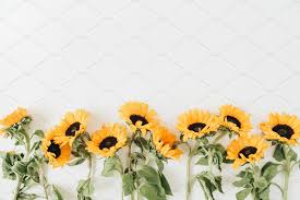 Can T Set Headers After They Are Sent Sunflowers Background Sunflowers Background Twitter Header Aesthetic Sunflower