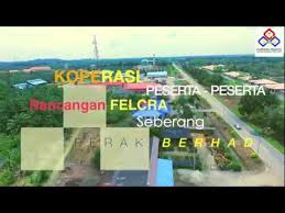 Konsultasi koperasi dan ukm disini, ahli kami akan membantu anda. Koperasi Peserta Peserta Rancangan Felcra Seberang Perak Berhad Youtube