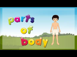A crossword to practise body parts. Parts Of The Body In Tamil Free Mp4 Video Download Jattmate Com