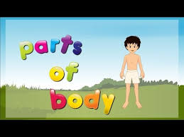 This is my body grade/level: Parts Of The Body In Tamil Free Mp4 Video Download Jattmate Com