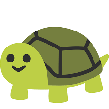 Ceafufjuuaa5eky Png Large 1024 1024 Turtle Wallpaper Cute Turtles Turtle