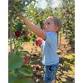 U-Pick Apples at Hillcrest Orchards event image