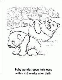 Get to know the giant panda by coloring them in their natural habitat. Giant Panda Coloring Page Coloring Home
