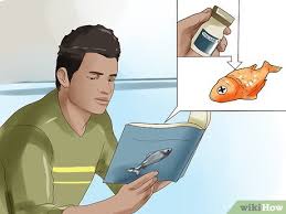 The methods listed above are humane ways to euthanize a fish. 3 Ways To Humanely Kill A Fish Wikihow