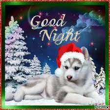 Check spelling or type a new query. Good Night Holidays Picmix