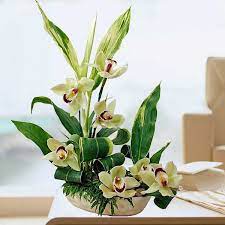 Cymbidium Orchid Florist Bouquet Singapore Gift Baby Gift Birthday Ikebana Flower Arrangement Fresh Flowers Arrangements Tropical Floral Arrangements